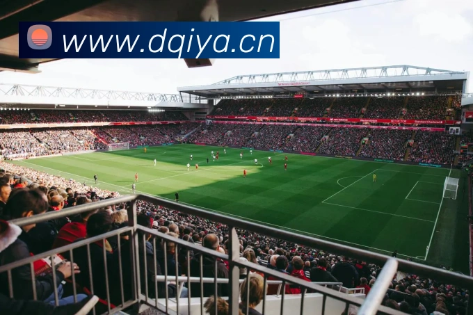 多媒体互动体验